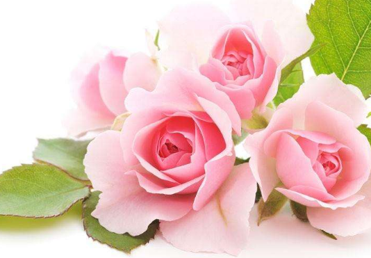 牛皮癣都有哪些表现特点