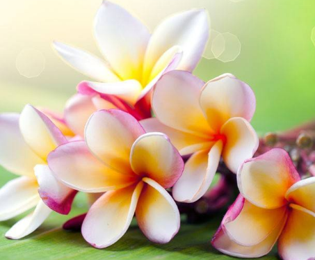 毛囊炎是什么原因造成的