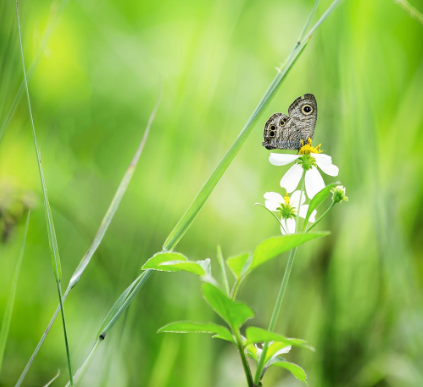 毛囊炎诱因都有什么