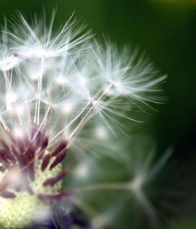 患手足癣会表现出什么症状