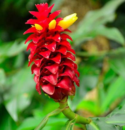 想要预防雀斑该怎么做