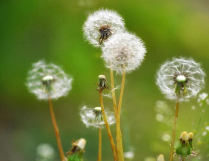 黄褐斑的护理该怎么做