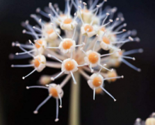 牛皮癣具体会导致什么危害