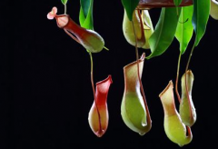 如何应对秋冬季节的皮肤瘙痒？