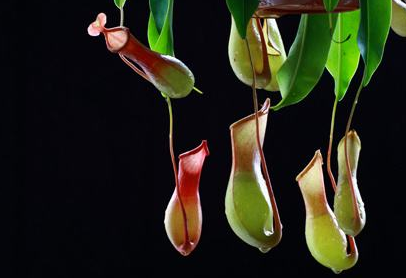 如何应对秋冬季节的皮肤瘙痒？